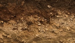 Soil classification (type)